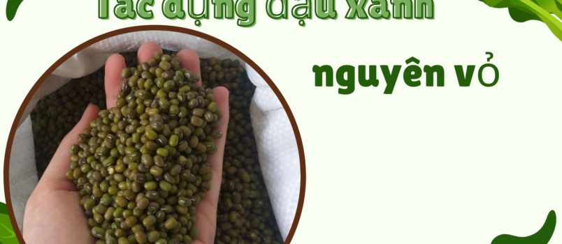 tac-dung-cua-dau-xanh-nguyen-vo